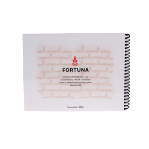 Billie's Berry Special Gift - Fortuna 2020 Holiday Book