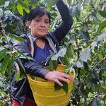 Organic Fair Trade Peru Ana Maria Farseque