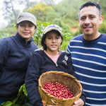 Honduras Nancy Hernandez Finca El Jazmin - Fortuna Coffee