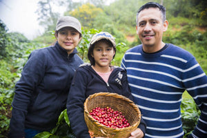 Honduras Nancy Hernandez Finca El Jazmin - Fortuna Coffee